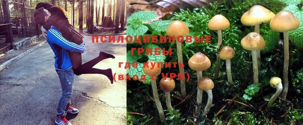 стафф Нефтекумск